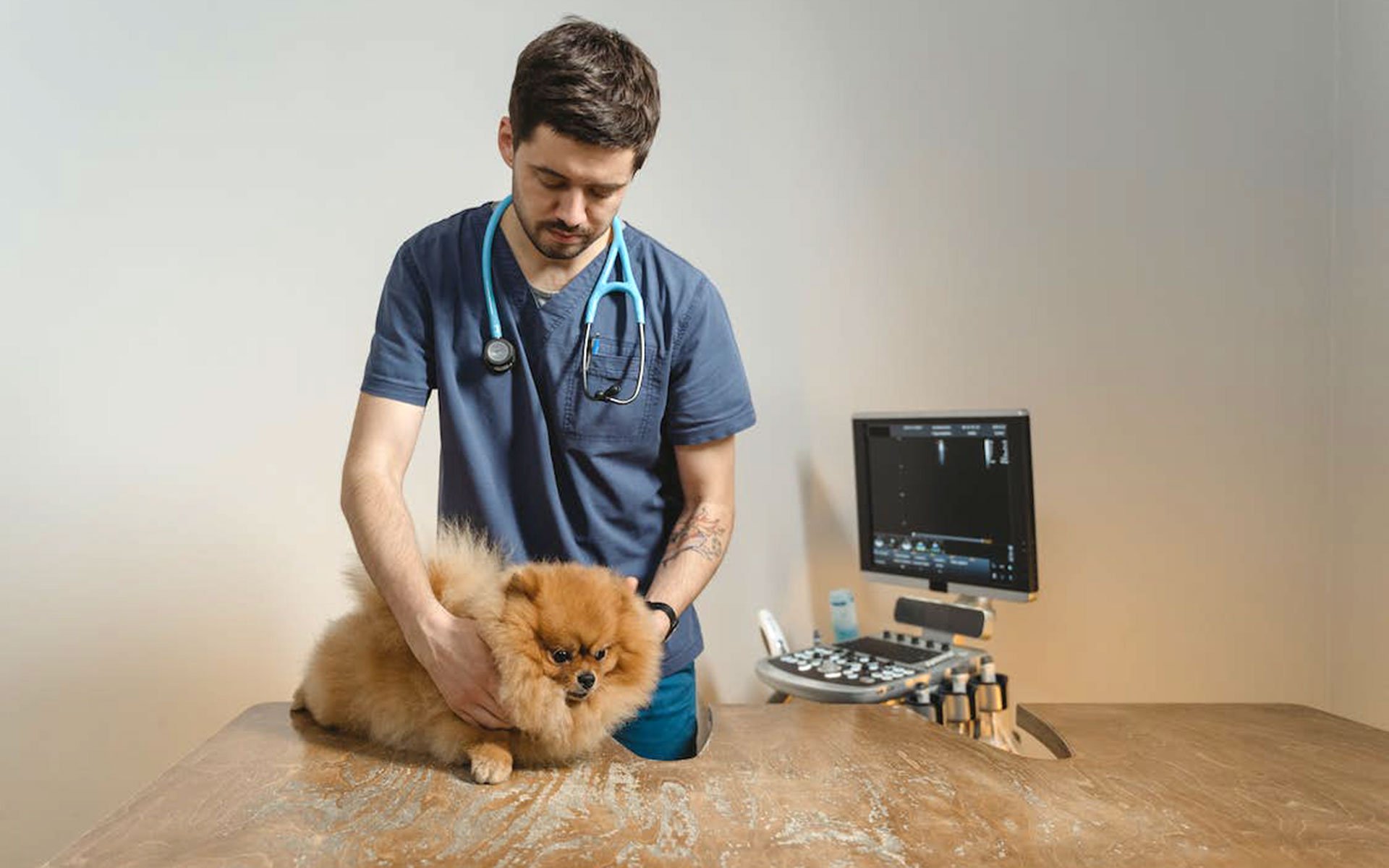 montichiariveterinario