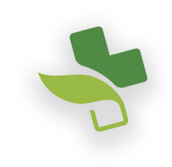 https://www.farmaciacomunale2montichiari.it/wp-content/uploads/2022/11/butterfly-small-green.png